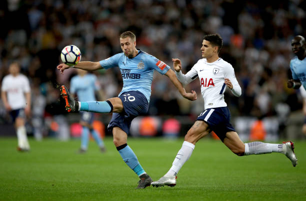 他的语言沟 他的语言沟