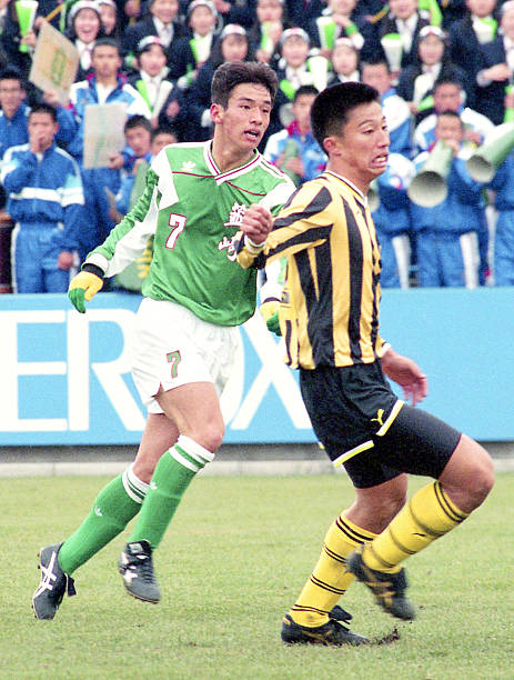 的使用和培 的使用和培